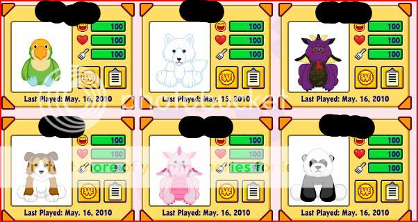 webkinz account for sale