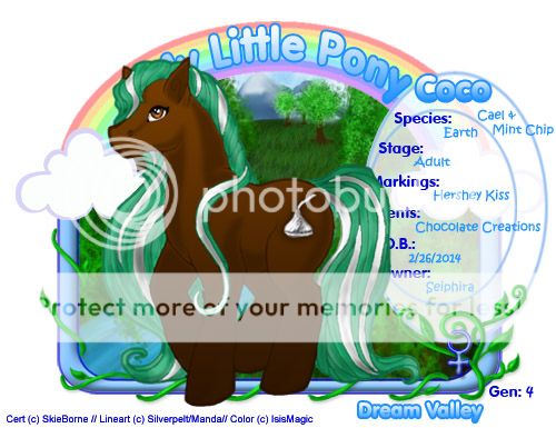 User Image