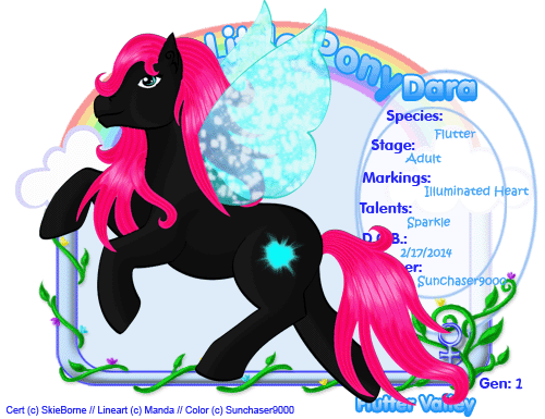 User Image