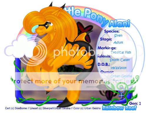 User Image