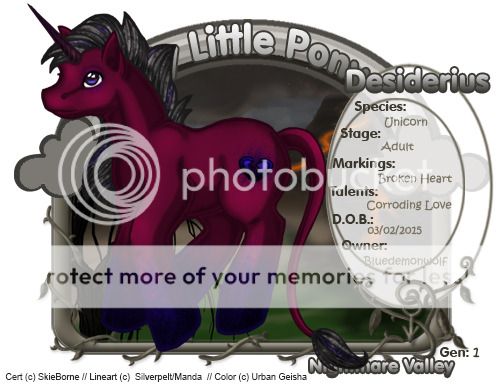 User Image
