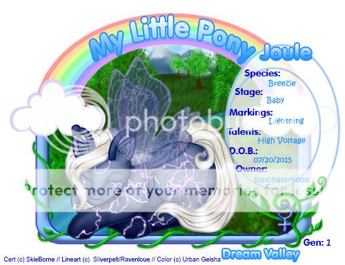 User Image