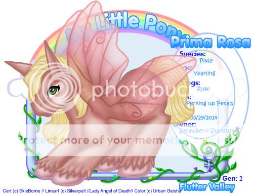 User Image