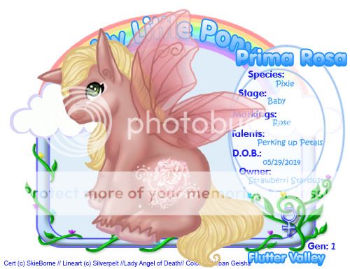 User Image