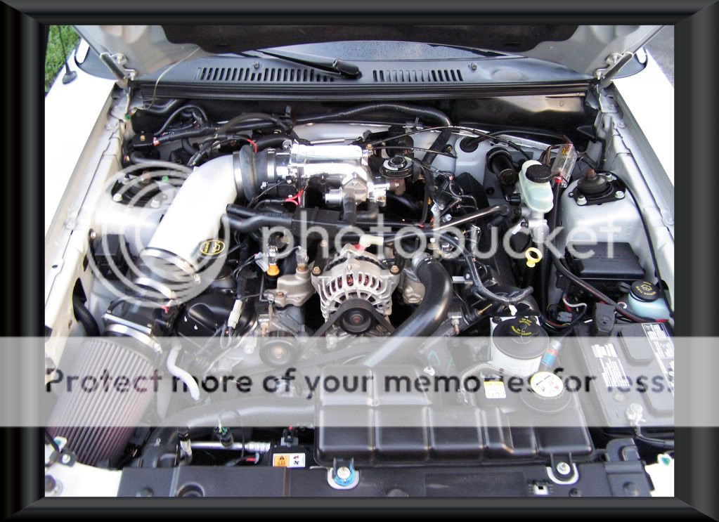 2002 Ford mustang gt engine for sale #9