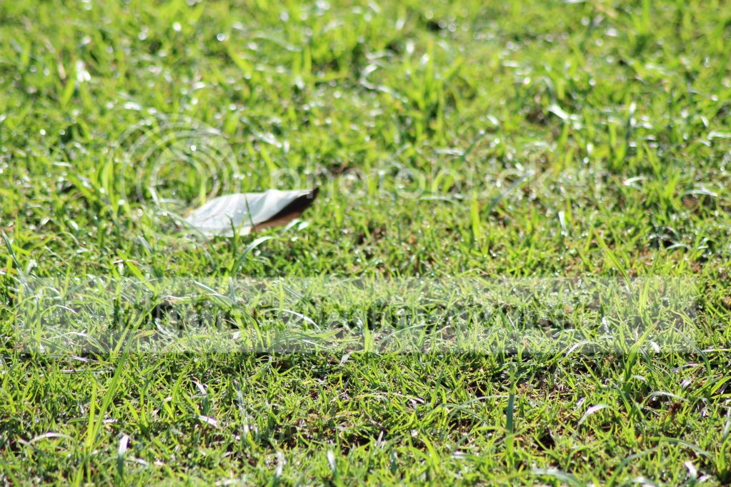 IMG_0168.jpg