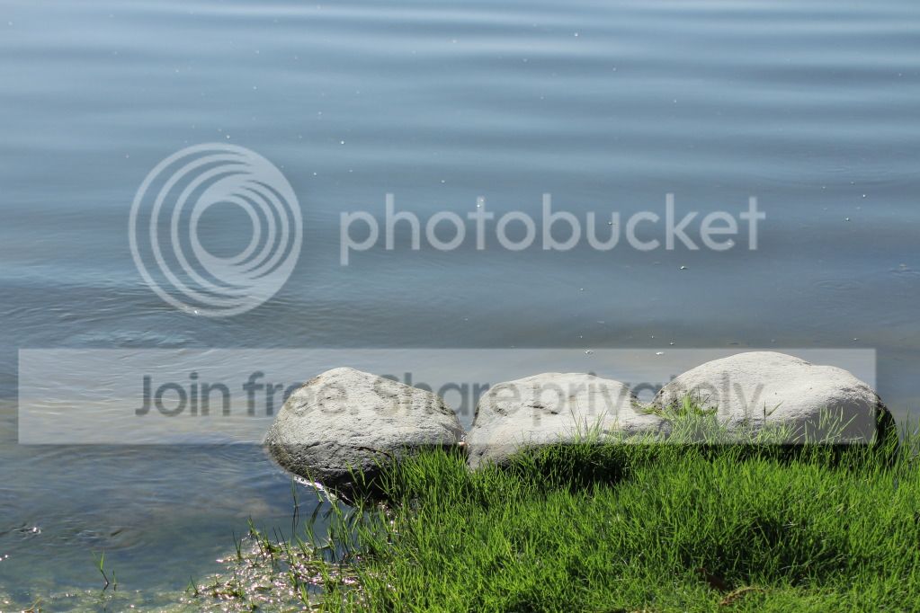 IMG_0180.jpg